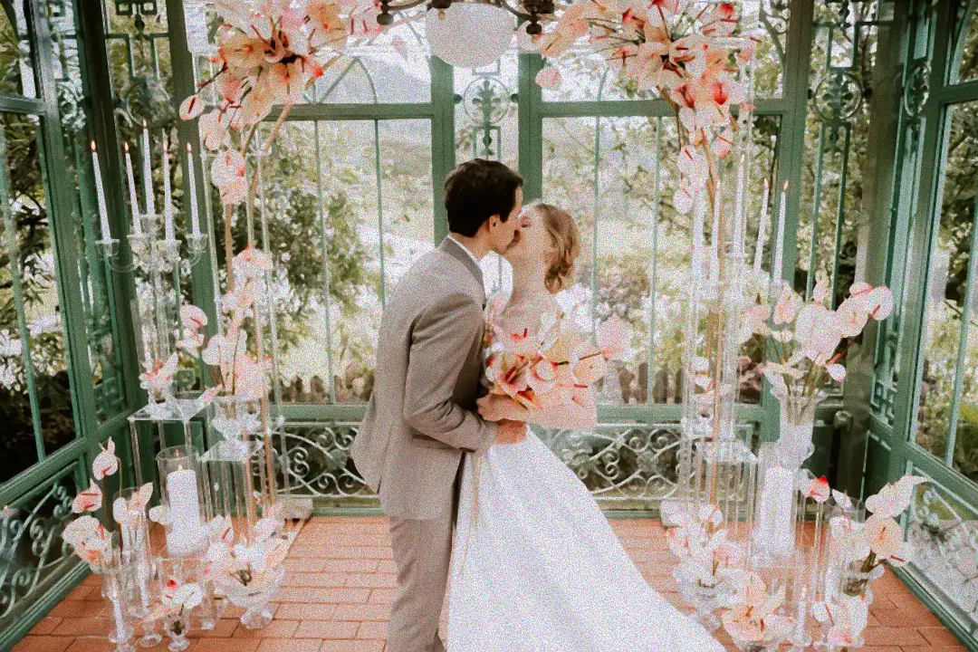 Tipps Anthurien düngen