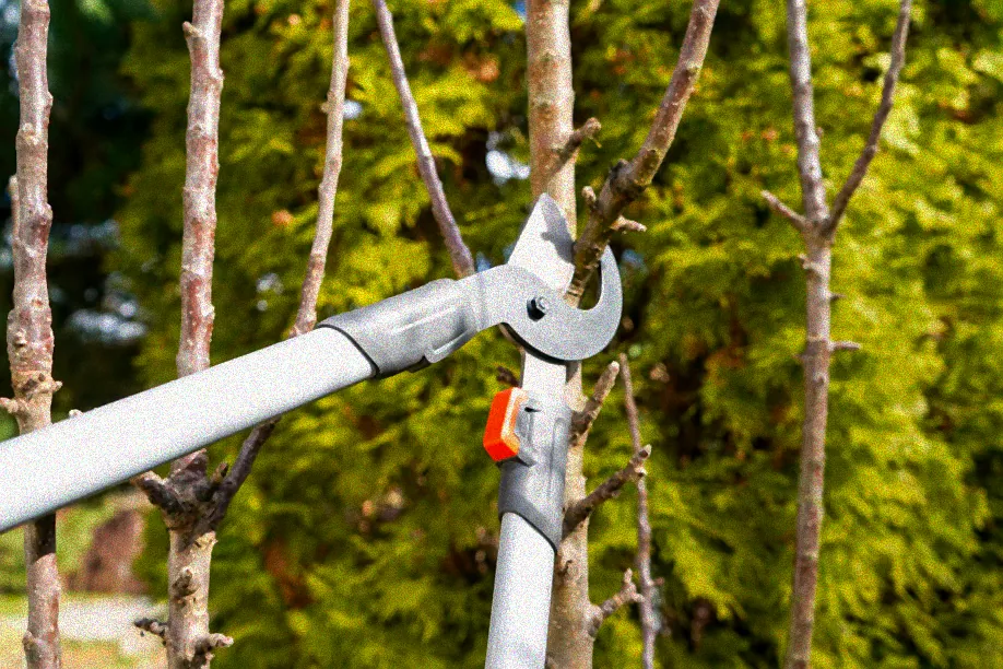 Kalender für Birnbaum schneiden