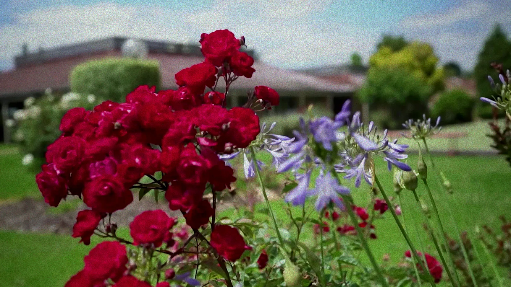 Sprühflasche mit natürlichem Pflanzenschutzmittel.