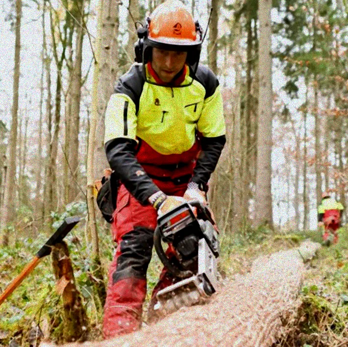 blattläuse ohne chemie bekämpfen
