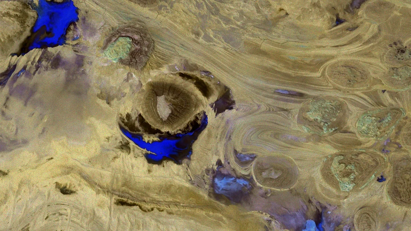 Blumen in strahlender Sonne