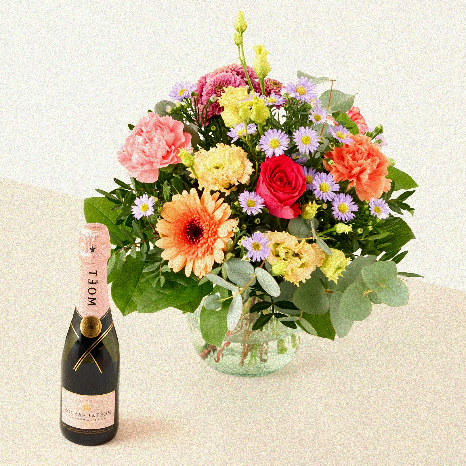 Gelbe Chrysanthemen mit einfacher Blüte.