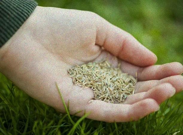 Gemüsebeet im September