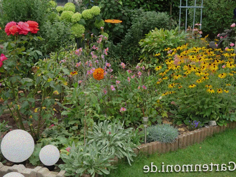 Vorbereitetes Gemüsebeet