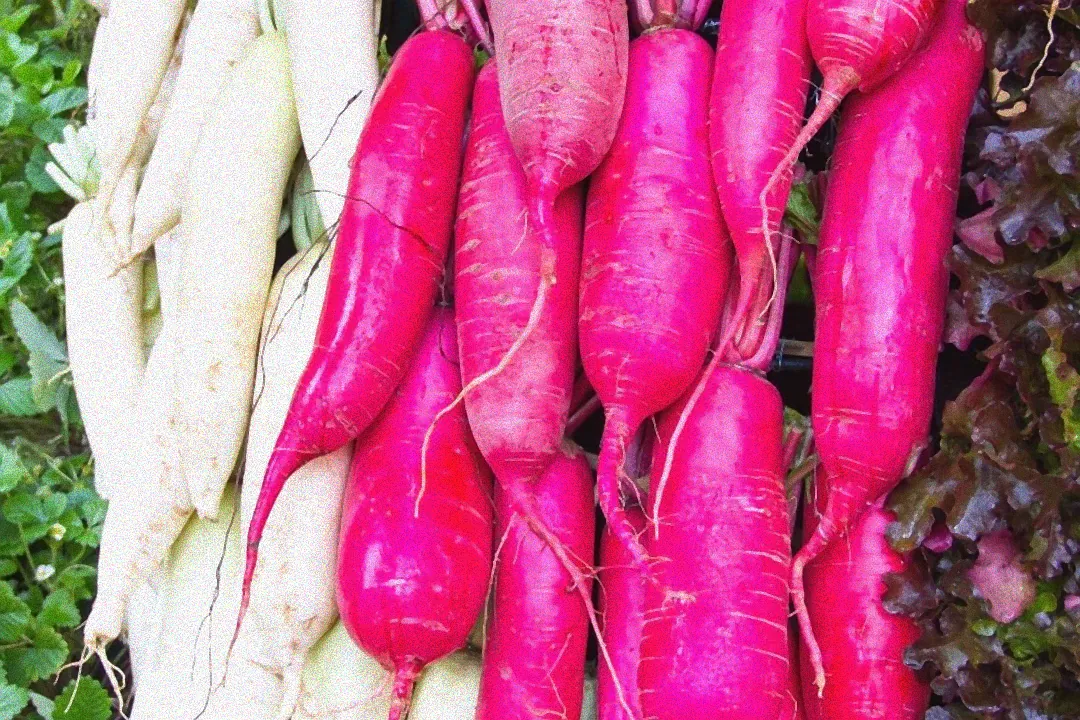 gemüse säen im september