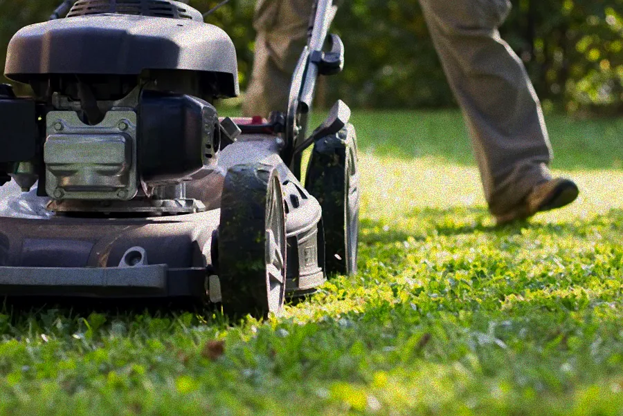 Herbstliche Rasenpflege mit Mäher