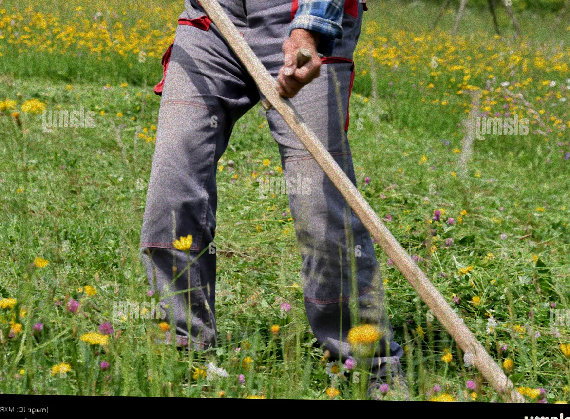 Gras schneiden an herbstlichem Tag