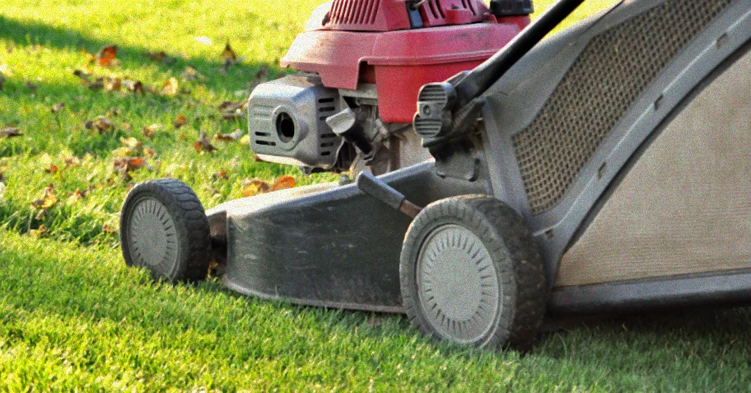 Rasenmähen mit herbstlichen Blättern