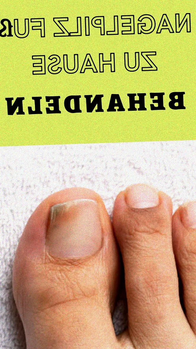 Brotkäfer auf einem Brotkorb