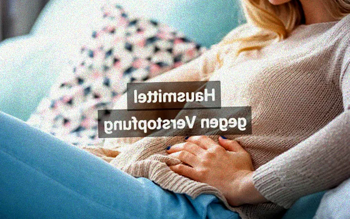 hausmittel gegen brotkäfer