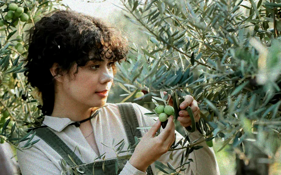 Winterfester Olivenbaum im Kübel