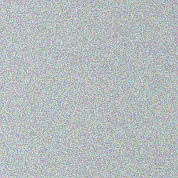 Pflege eines Olivenbaums im Kübel