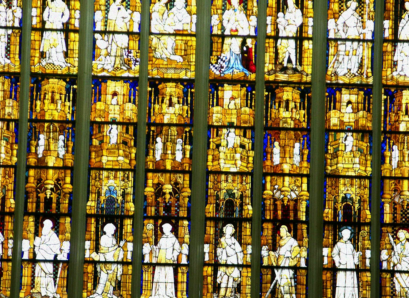 Pflege von Orchideen am Fenster