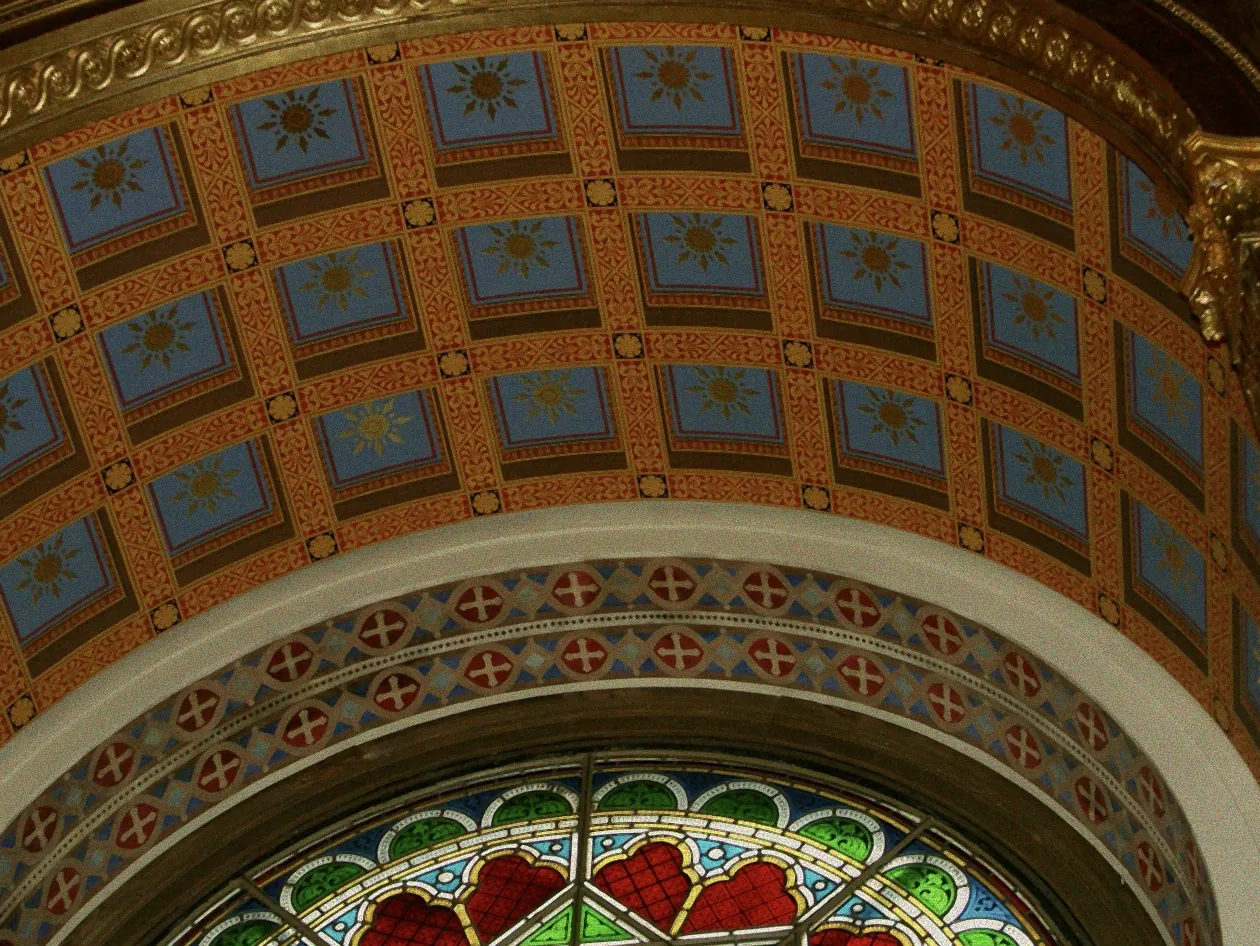 Verschiedene Orchideen am Fenster