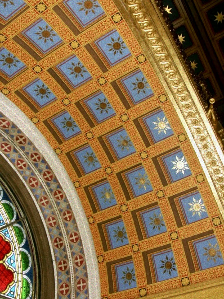 Orchideen am Westfenster Standort