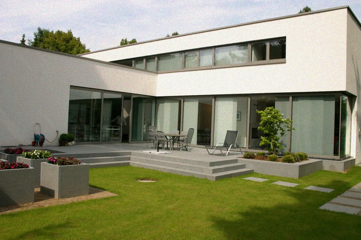 orchideen westfenster