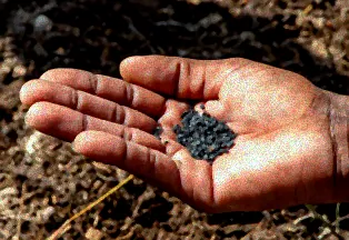 Grüner Rasen mit Düngerstreuer