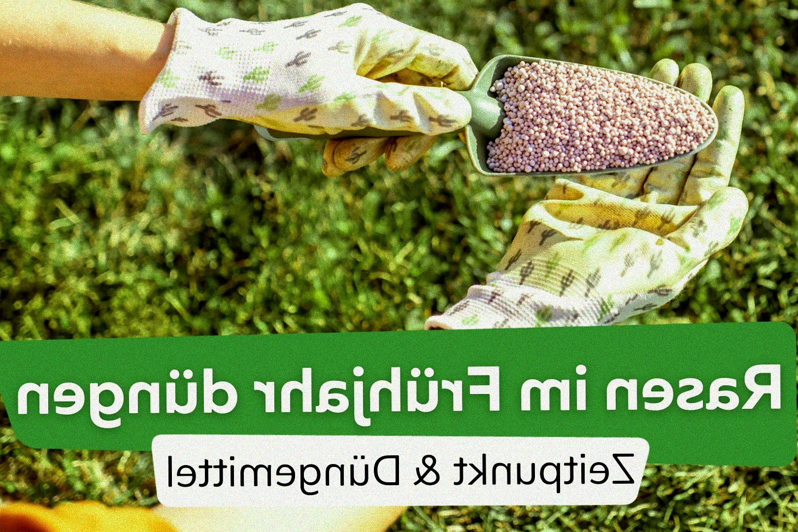 Düngerstreuer auf grünem Rasen