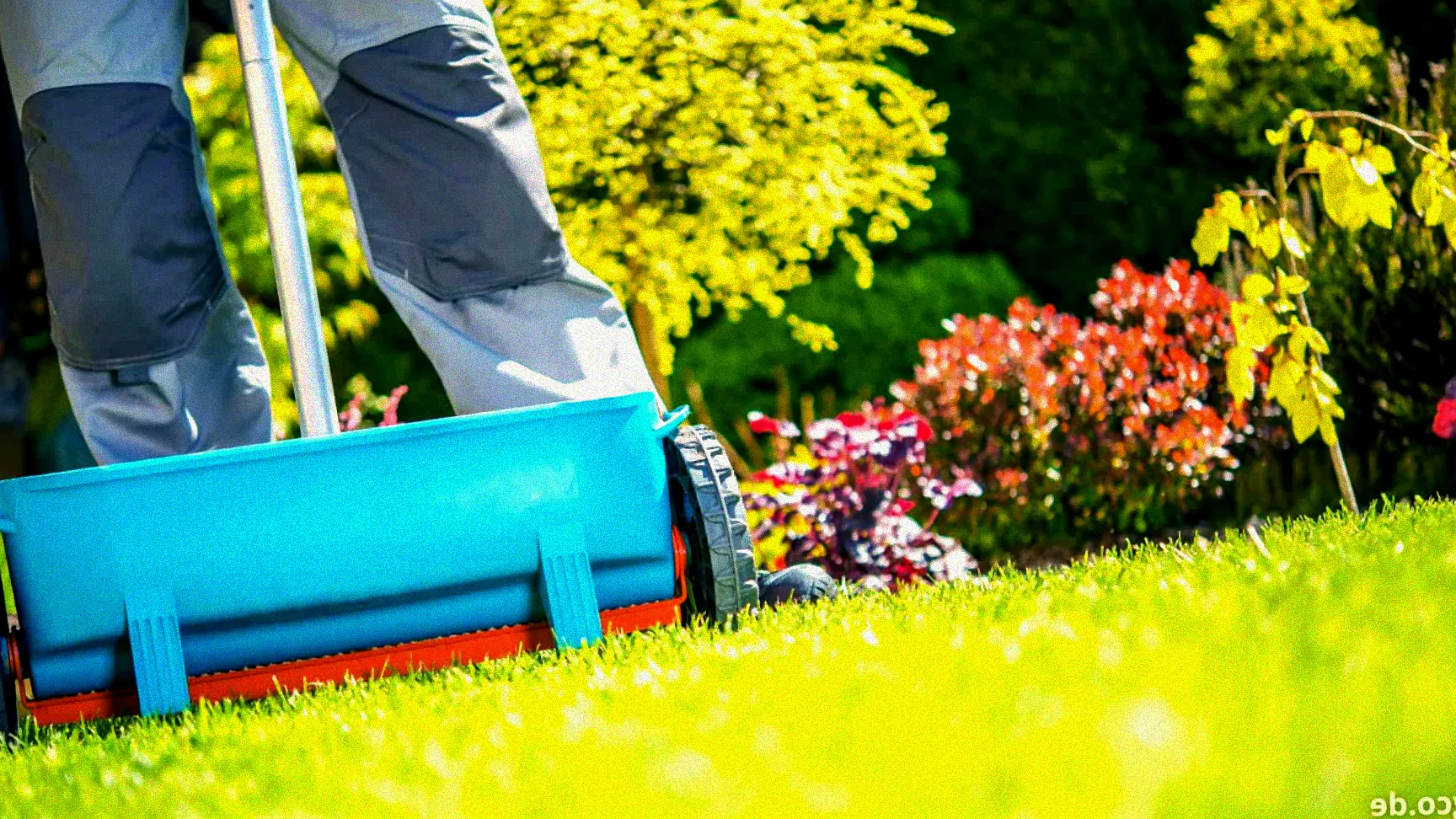 Frühlingsrasen mit Dünger