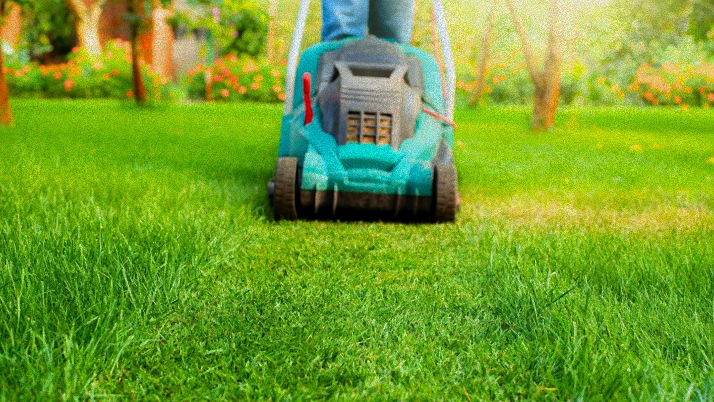 rasen düngen frühjahr temperatur