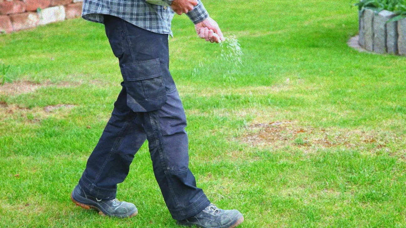 Herbst Rasendünger mit Unkrautvernichter