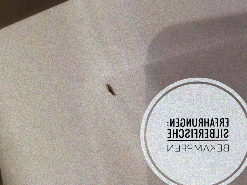 Feuchtigkeit im Badezimmer