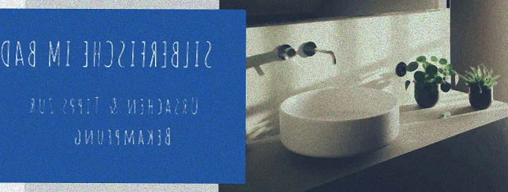 silberfische bad bekämpfen