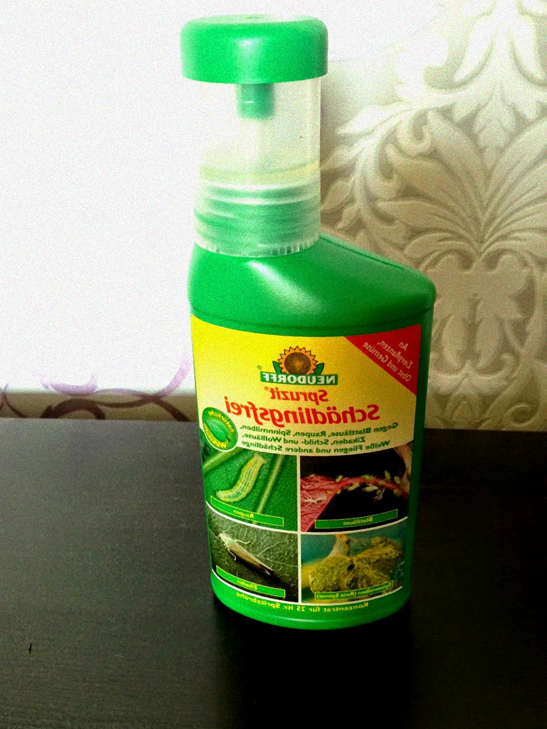 Spinnmilben auf Pflanzen