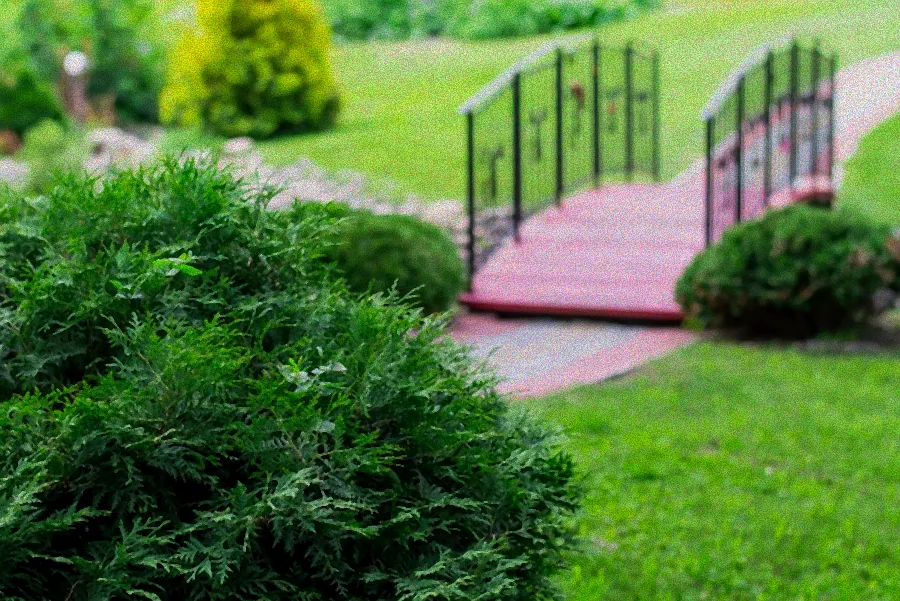 Düngemittel für Thuja Smaragd