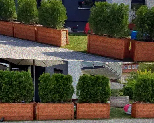 Düngungstipps für Thuja Smaragd