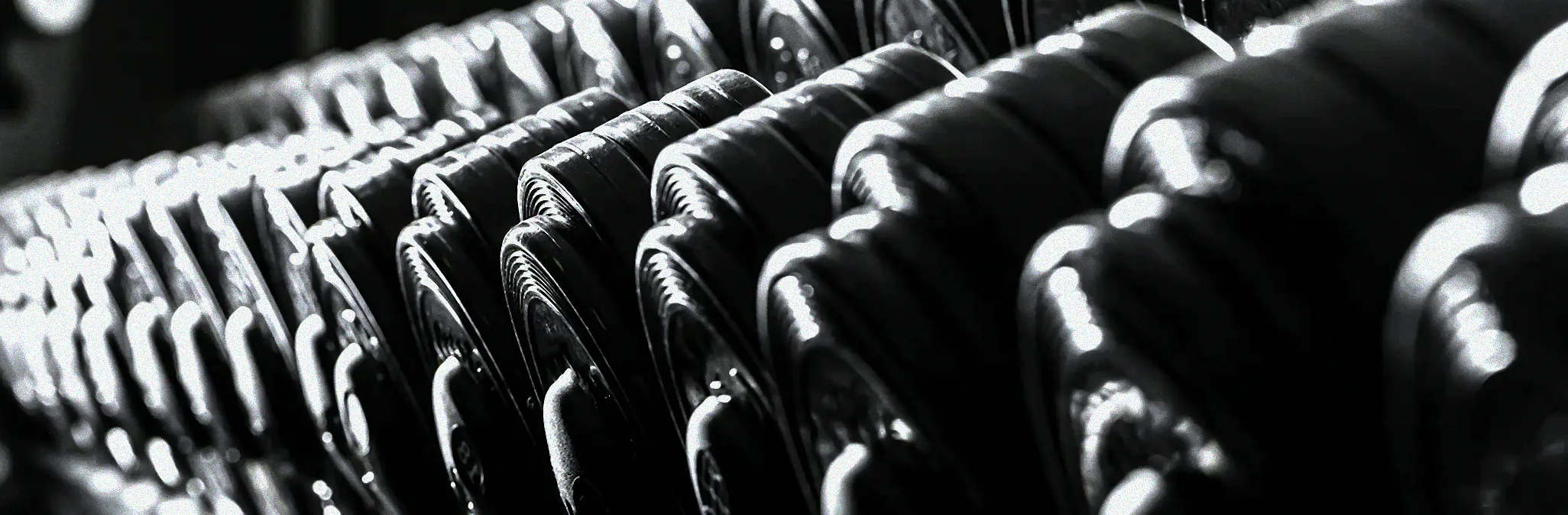 Rasen mit Wühlmäusen