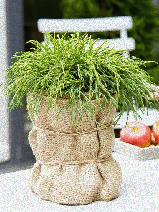 Pflanzenkübel mit Frostschutz