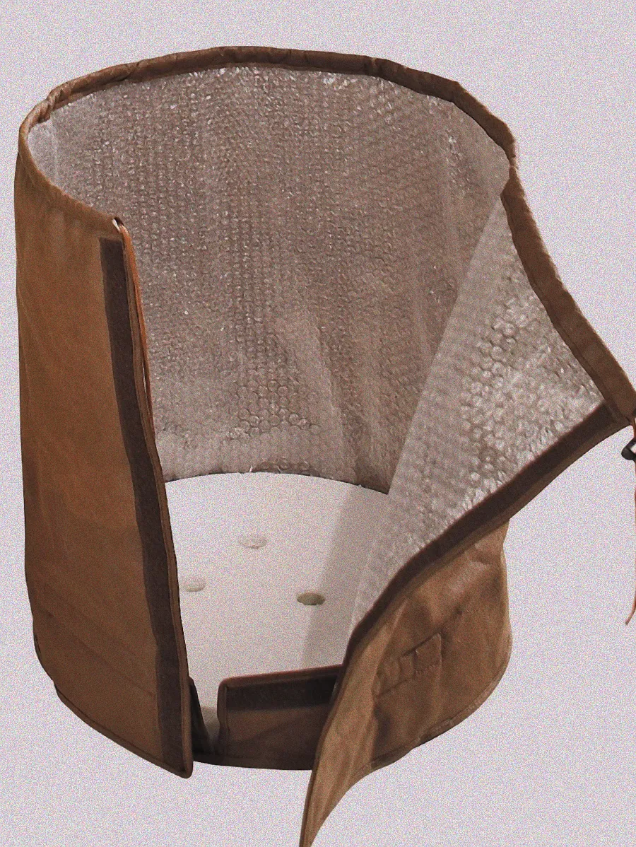 Kübelpflanzen Wintervorbereitung