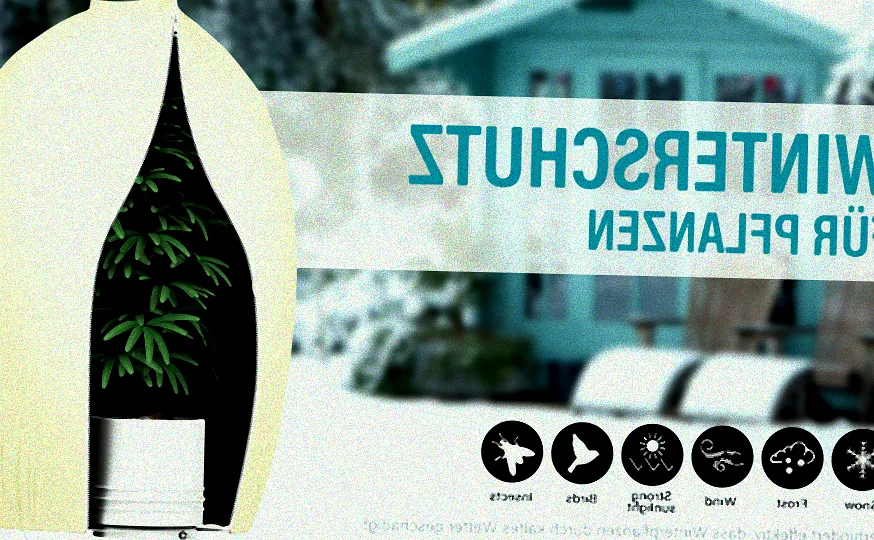 Lagerung von Kübelpflanzen im Winter